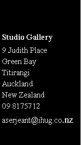 Text Box: Studio Gallery9 Judith PlaceGreen BayTitirangiAucklandNew Zealand09 8175712aserjeant@ihug.co.nz